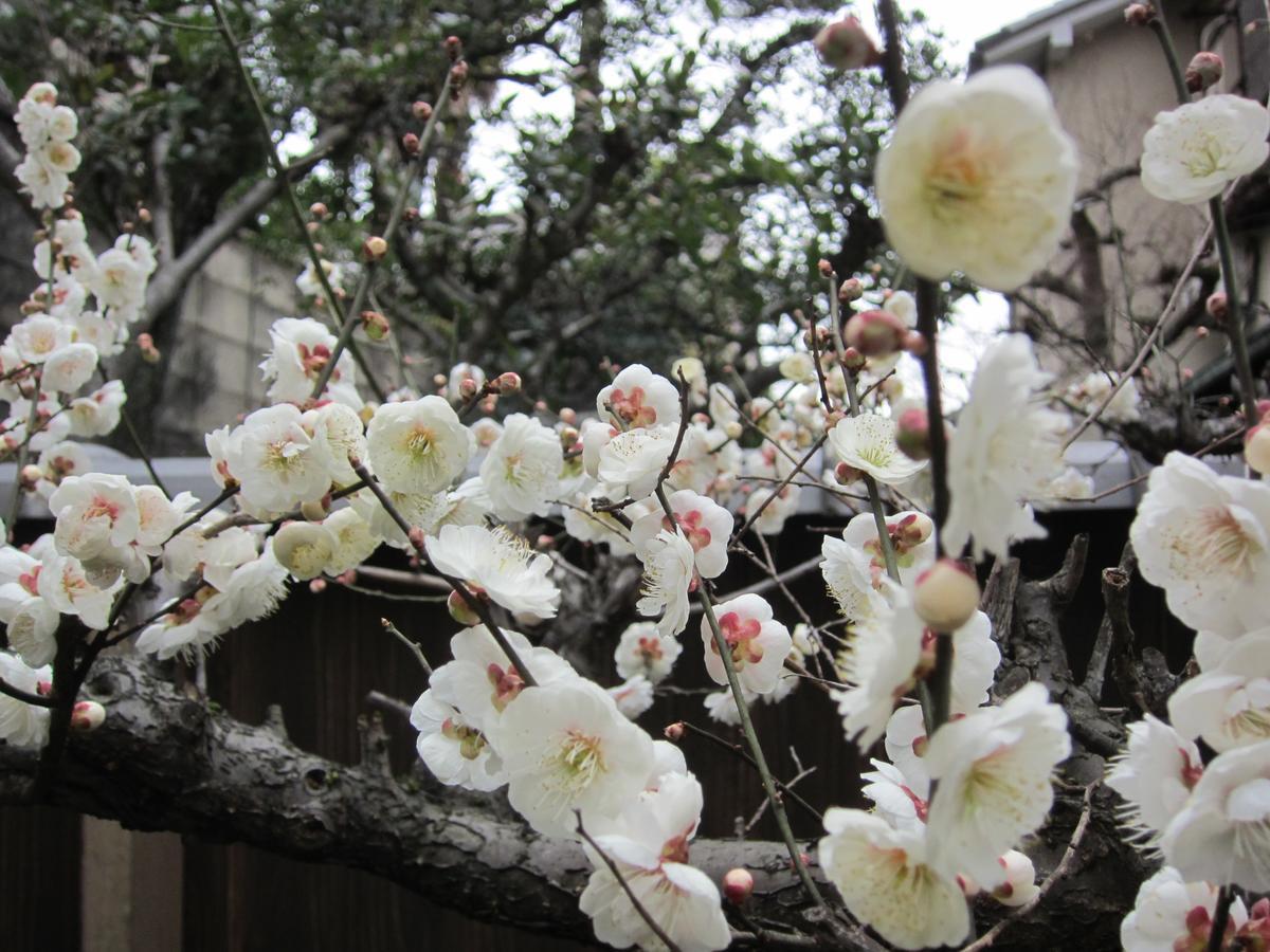 Hotel Yadoya Nishijinso Kjóto Exteriér fotografie